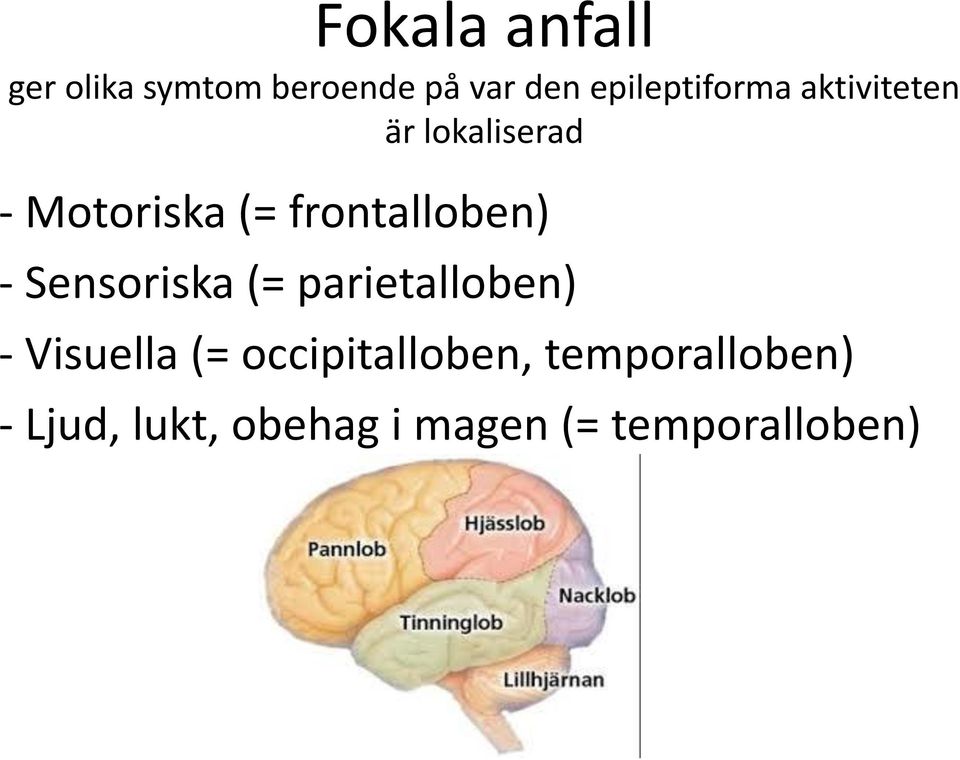 frontalloben) - Sensoriska (= parietalloben) - Visuella (=