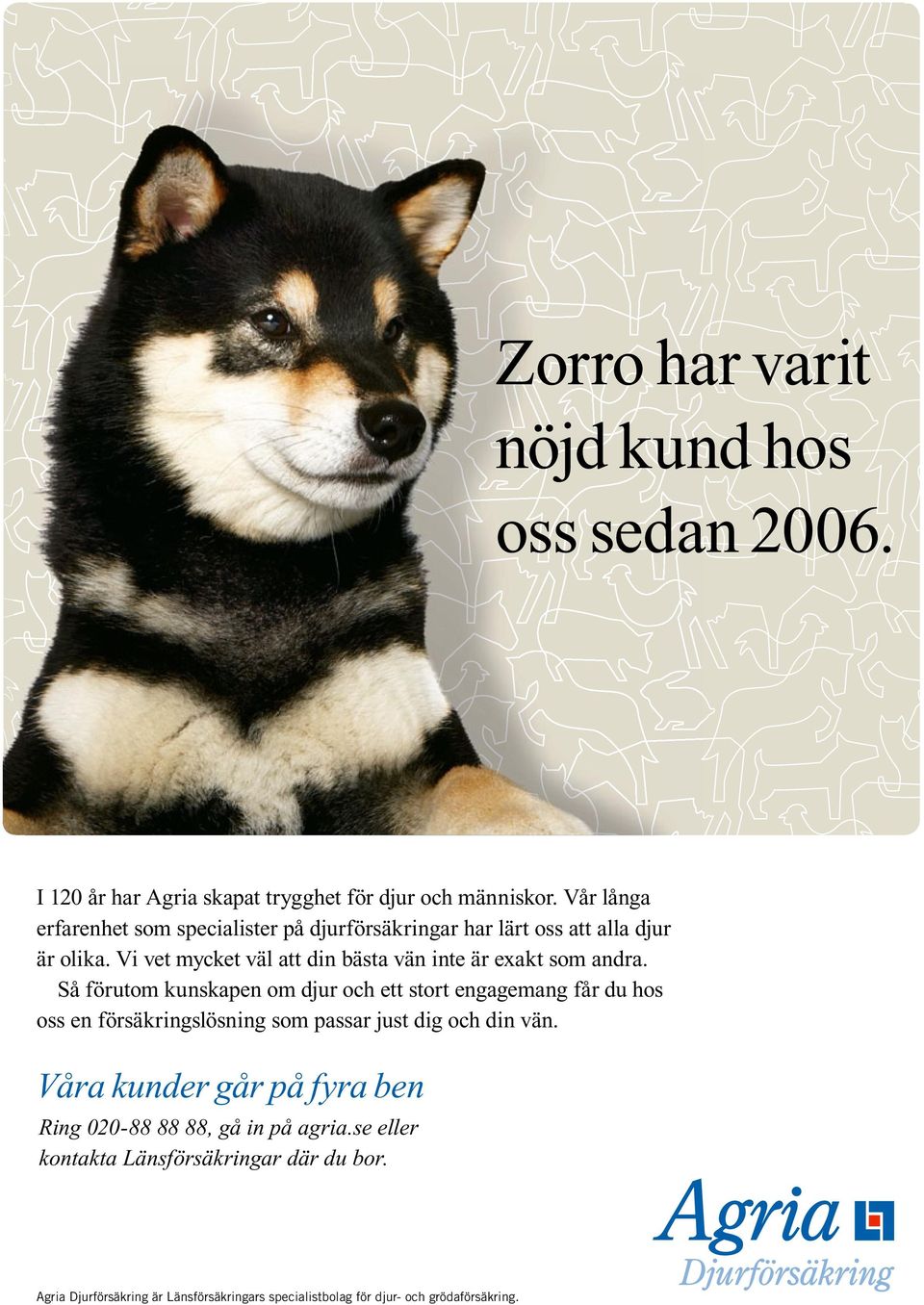 Vi vet mycket väl att din bästa vän inte är exakt som andra.