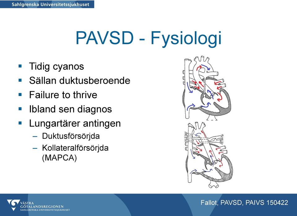 Ibland sen diagnos Lungartärer