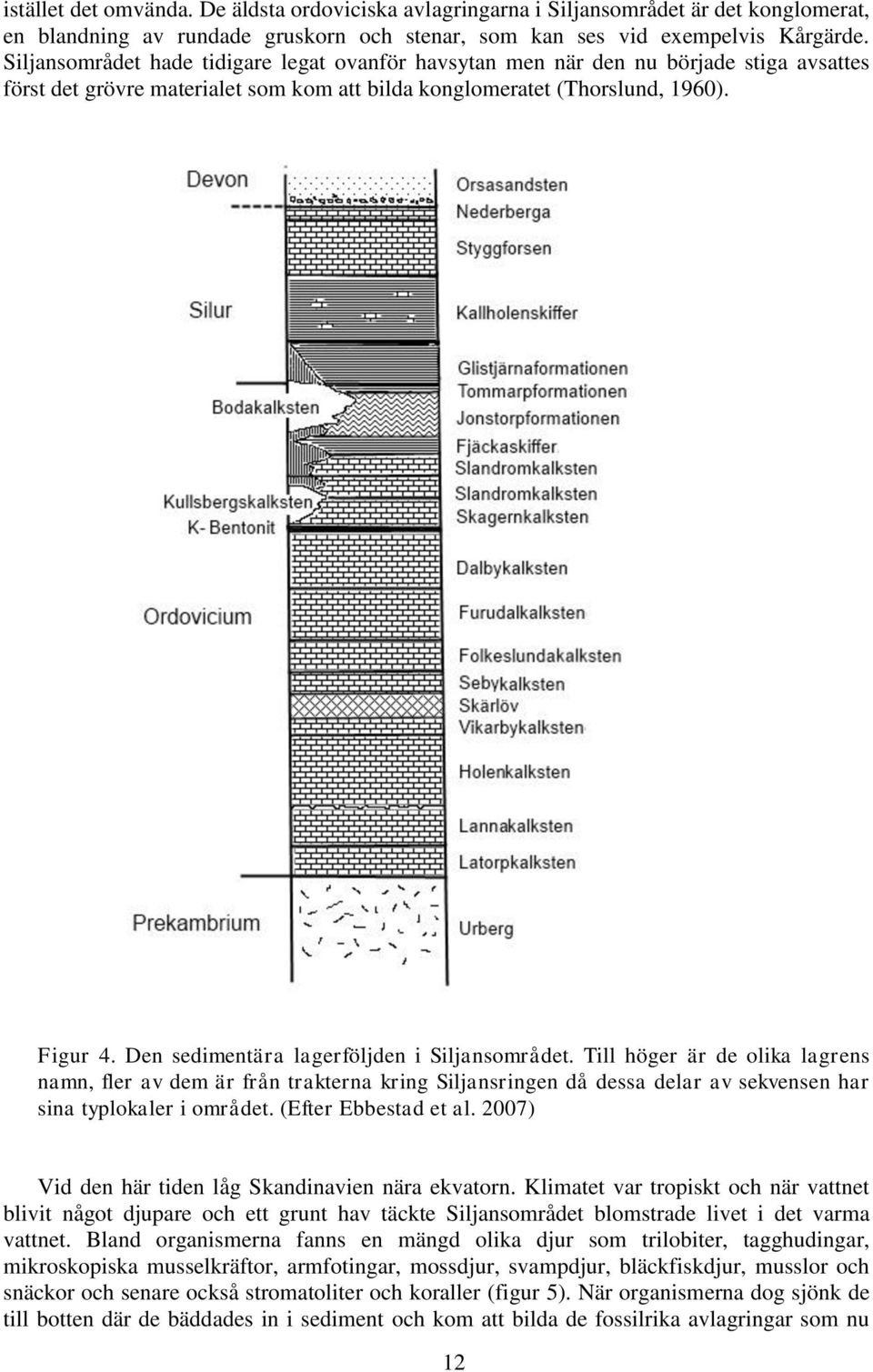 Den sedimentära lagerföljden i Siljansområdet. Till höger är de olika lagrens namn, fler av dem är från trakterna kring Siljansringen då dessa delar av sekvensen har sina typlokaler i området.