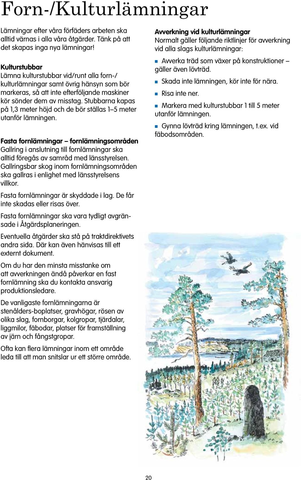 Stubbarna kapas på 1,3 meter höjd och de bör ställas 1 5 meter utanför lämningen.