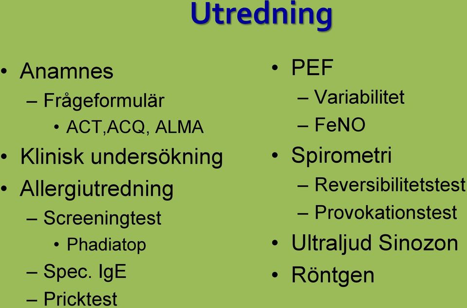 Spec. IgE Pricktest PEF Variabilitet FeNO Spirometri