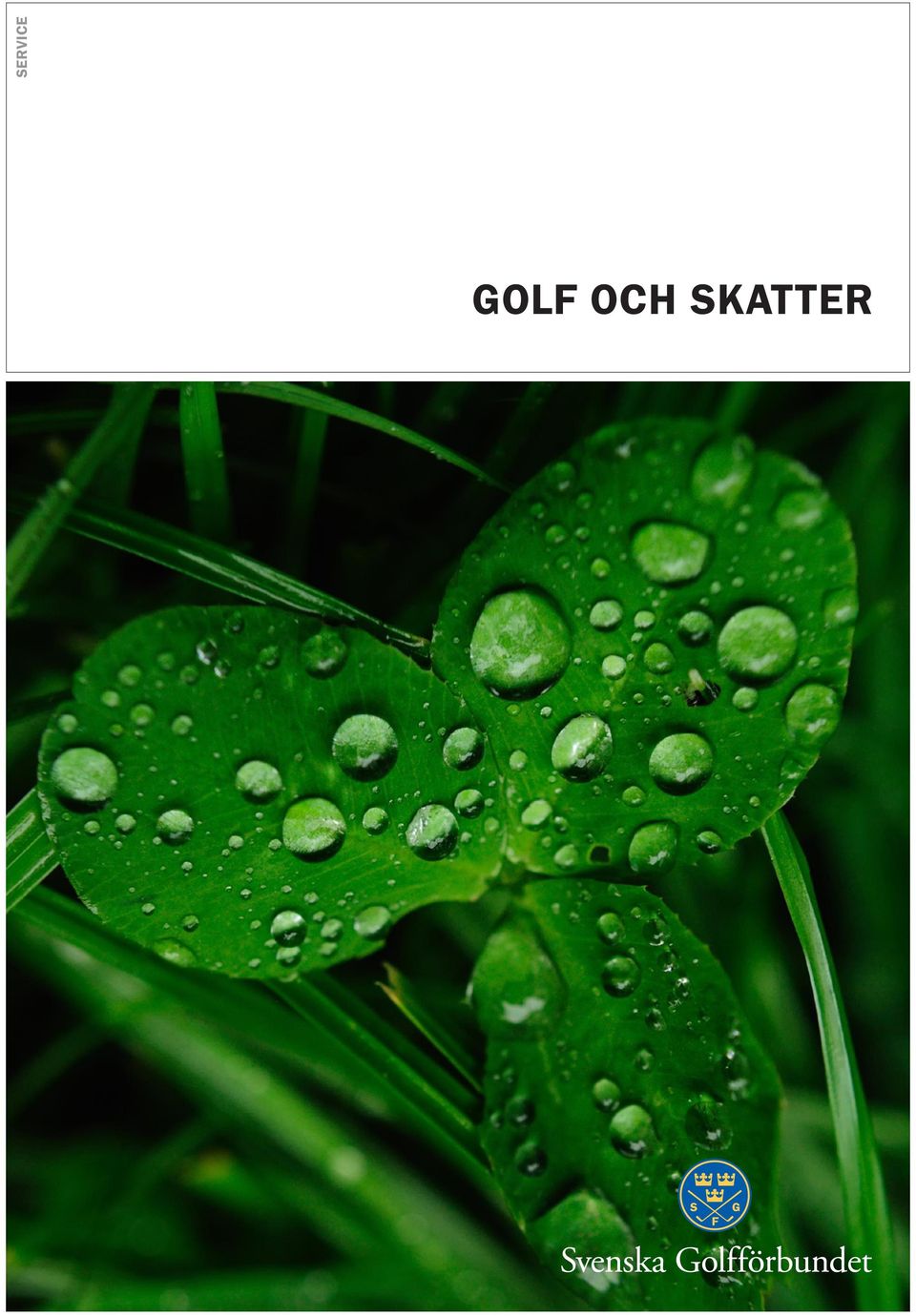 SKATTER