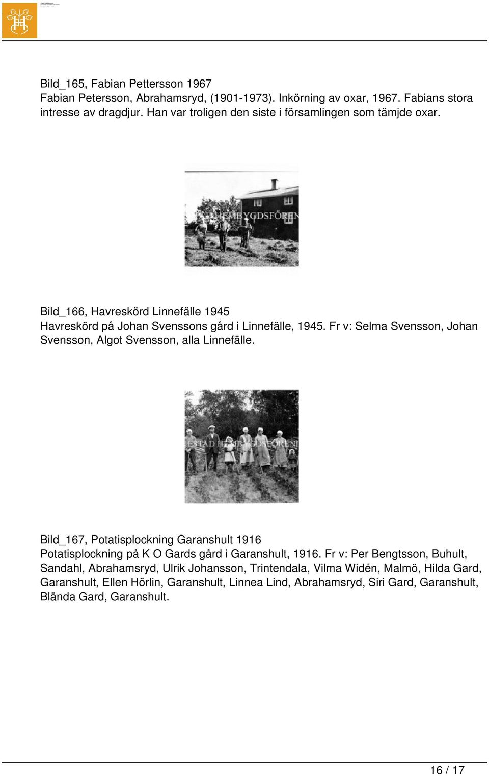 Fr v: Selma Svensson, Johan Svensson, Algot Svensson, alla Linnefälle. Bild_167, Potatisplockning Garanshult 1916 Potatisplockning på K O Gards gård i Garanshult, 1916.