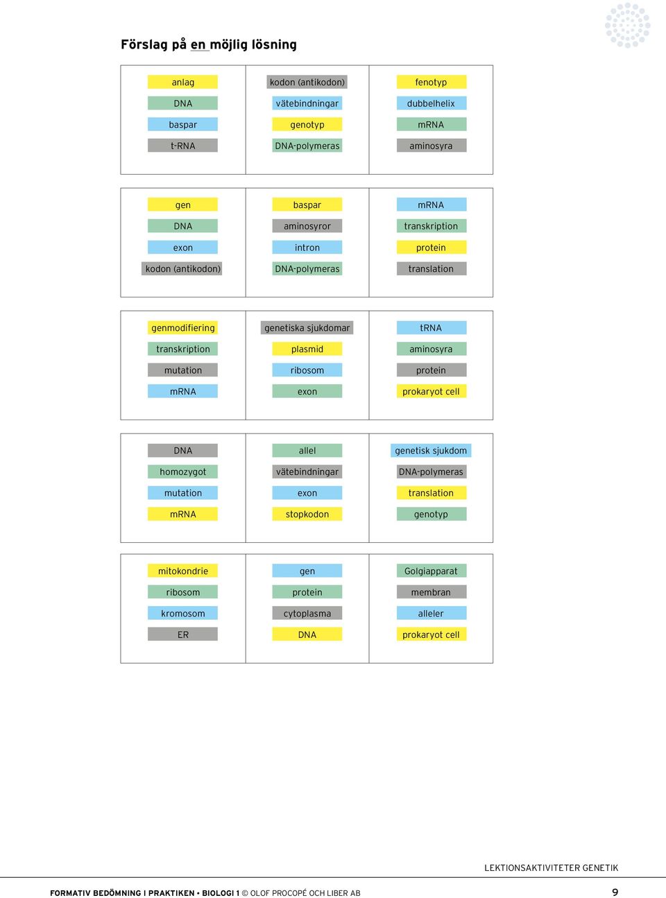 exon trna aminosyra protein prokaryot cell DNA homozygot mutation mrna allel vätebindningar exon stopkodon genetisk sjukdom DNA-polymeras translation genotyp mitokondrie
