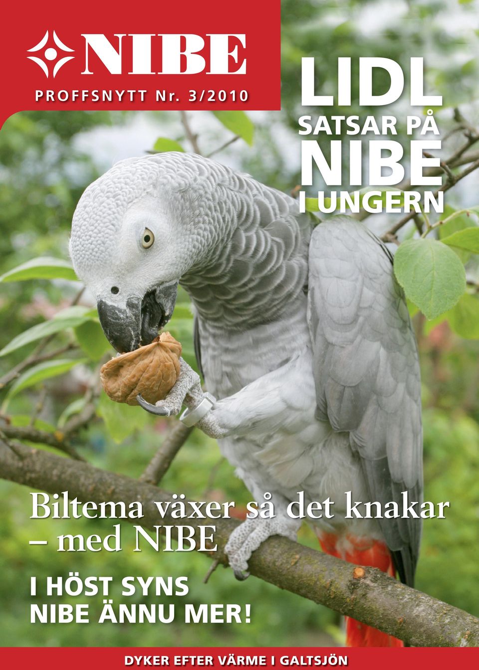 UNGERN Biltema växer så det knakar med