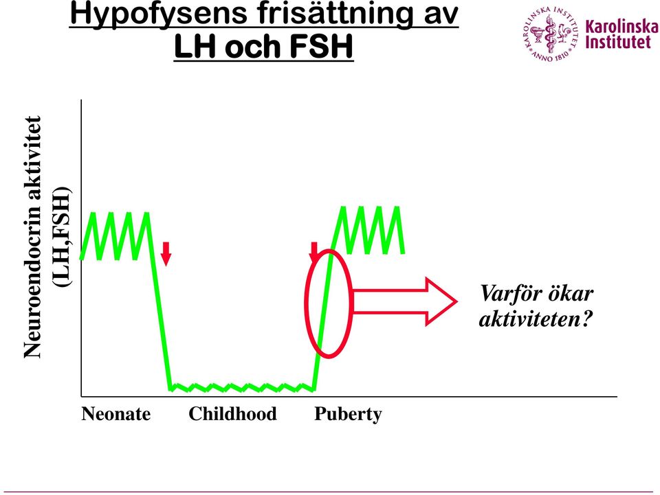 aktivitet (LH,FSH) Varför