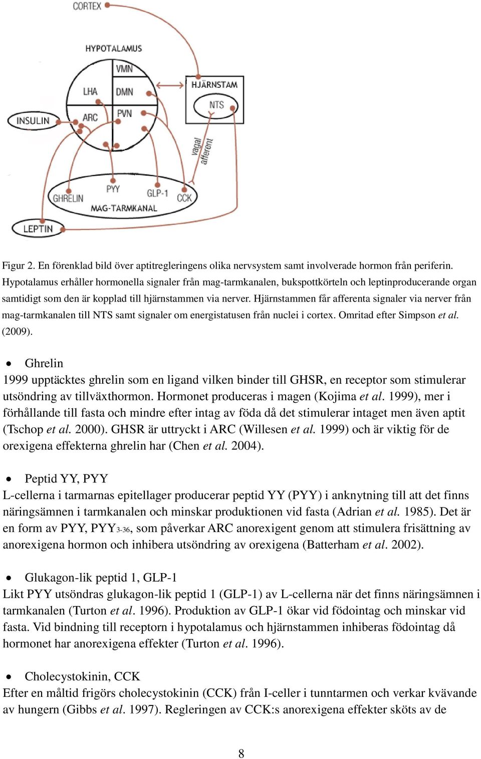 Hjärnstammen får afferenta signaler via nerver från mag-tarmkanalen till NTS samt signaler om energistatusen från nuclei i cortex. Omritad efter Simpson et al. (2009).