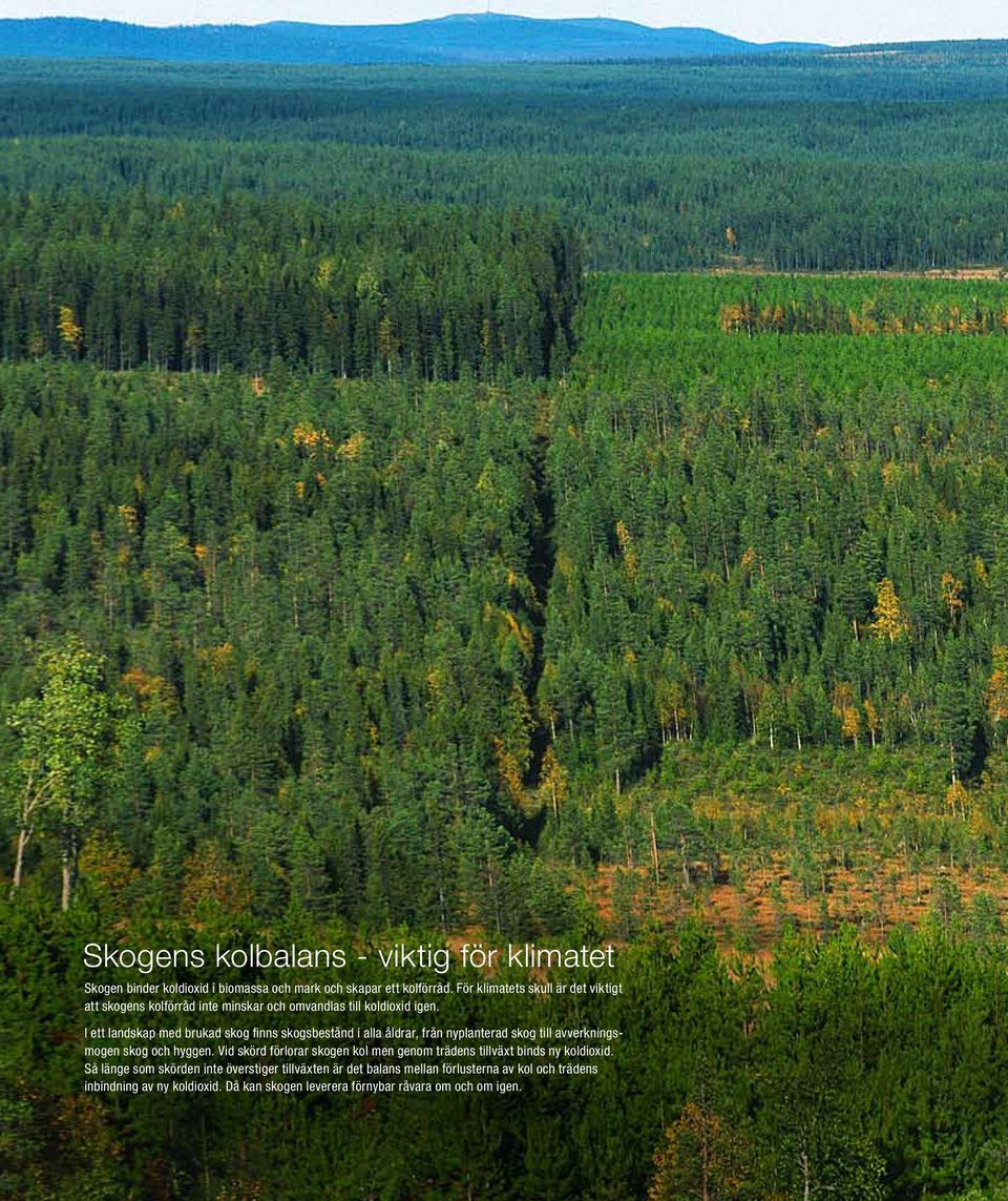 I ett landskap med brukad skog finns skogsbestånd i alla åldrar, från nyplanterad skog till avverkningsmogen skog och hyggen.