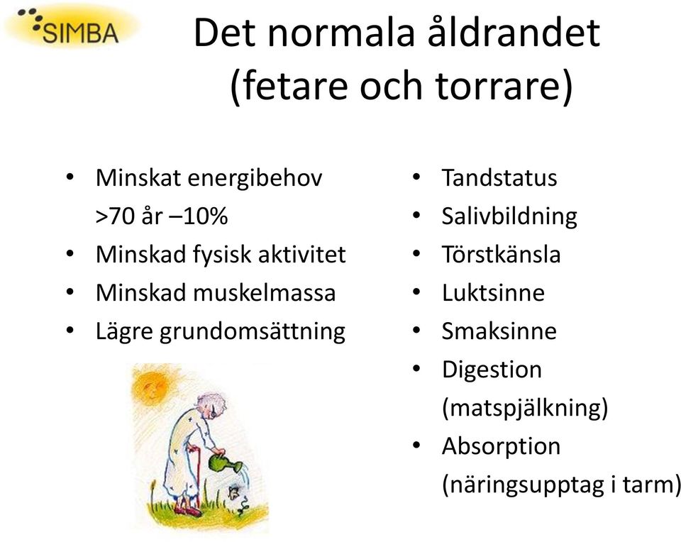 grundomsättning Tandstatus Salivbildning Törstkänsla Luktsinne