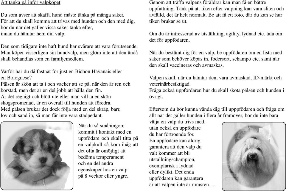 Den som tidigare inte haft hund har svårare att vara förutseende. Man köper visserligen sin hundvalp, men glöm inte att den ändå skall behandlas som en familjemedlem.