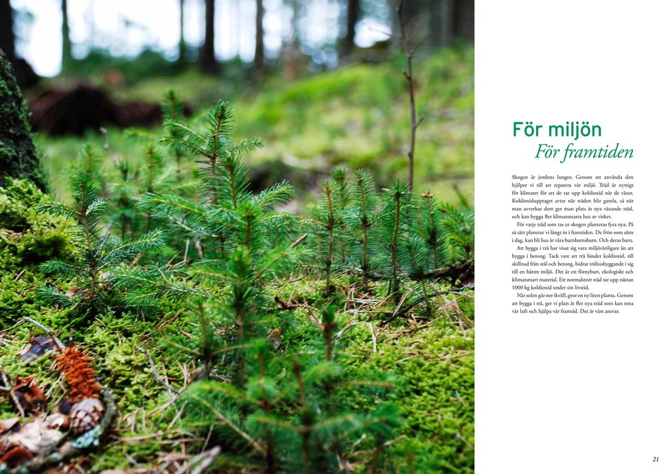 För varje träd som tas ur skogen planteras fyra nya. På så sätt planerar vi långt in i framtiden. De frön som sätts i dag, kan bli hus åt våra barnbarnsbarn. Och deras barn.