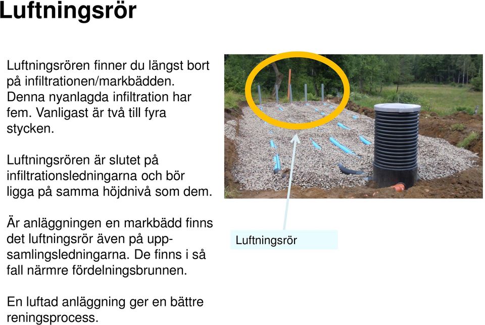 Luftningsrören är slutet på infiltrationsledningarna och bör ligga på samma höjdnivå som dem.