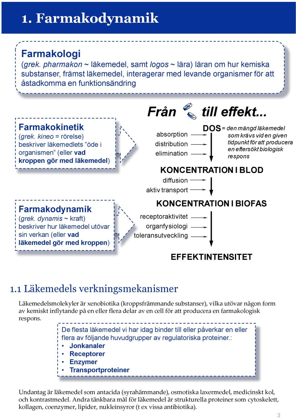 kineo = rörelse) beskriver läkemedlets öde i organismen (eller vad kroppen gör med läkemedel) Farmakodynamik (grek.