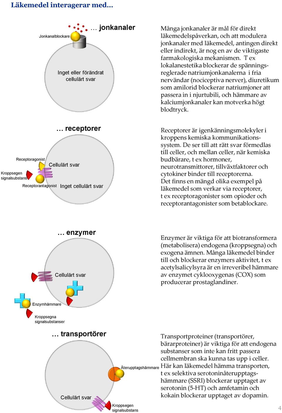 T ex lokalanestetika blockerar de spänningsreglerade natriumjonkanalerna i fria nervändar (nociceptiva nerver), diuretikum som amilorid blockerar natriumjoner att passera in i njurtubili, och hämmare