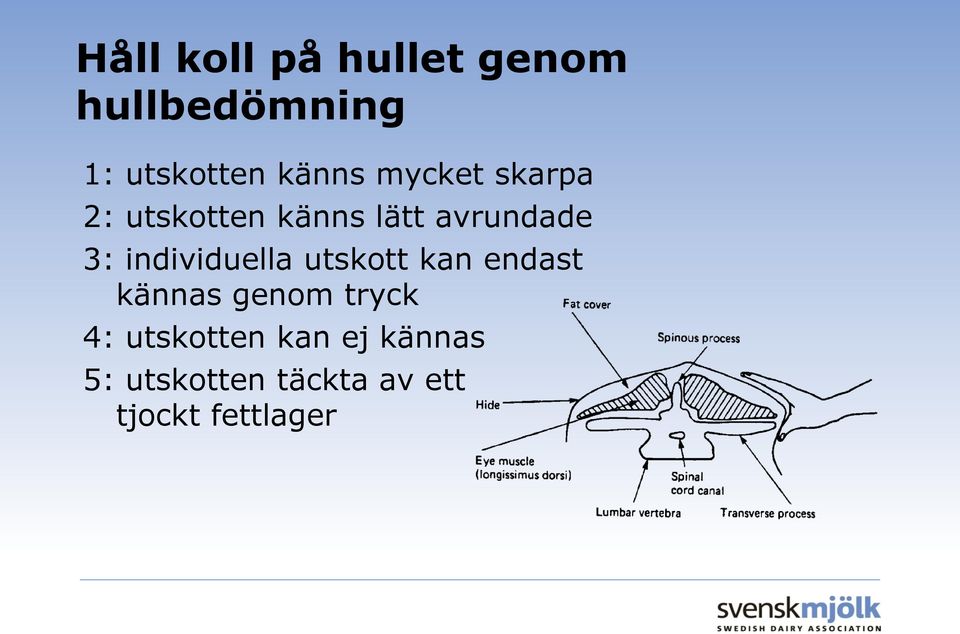 individuella utskott kan endast kännas genom tryck 4: