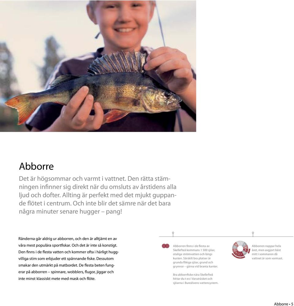 Den finns i de flesta vatten och kommer ofta i härligt huggvilliga stim som erbjuder ett spännande fiske. Dessutom smakar den utmärkt på matbordet.
