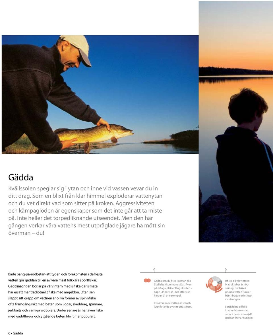 Men den här gången verkar våra vattens mest utpräglade jägare ha mött sin överman du!