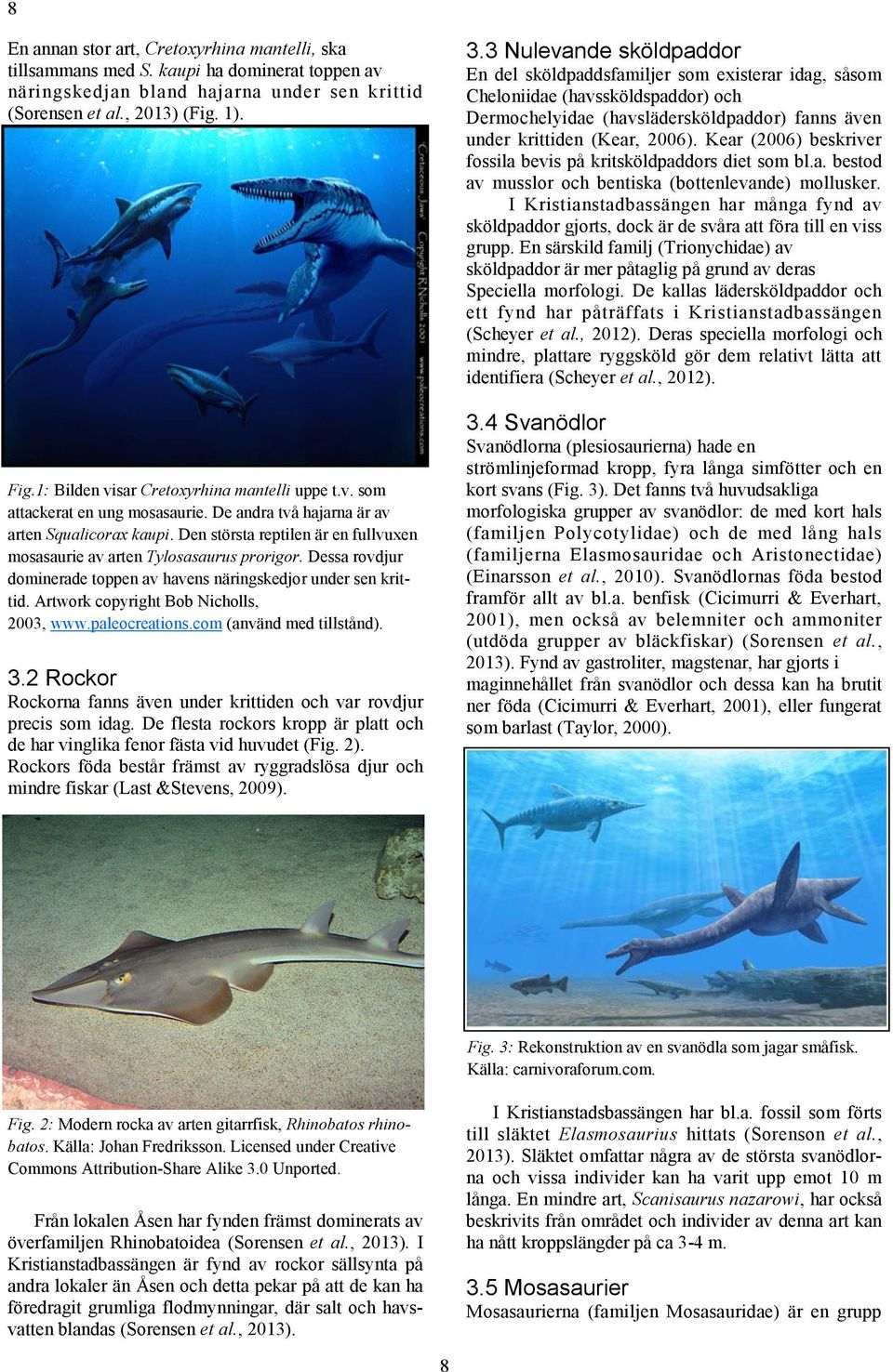 Den största reptilen är en fullvuxen mosasaurie av arten Tylosasaurus prorigor. Dessa rovdjur dominerade toppen av havens näringskedjor under sen krittid. Artwork copyright Bob Nicholls, 2003, www.