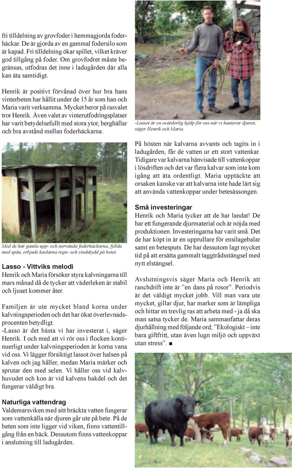 Henrik är positivt förvånad över hur bra hans vinterbeten har hållit under de 15 år som han och Maria varit verksamma. Mycket beror på rasvalet tror Henrik.