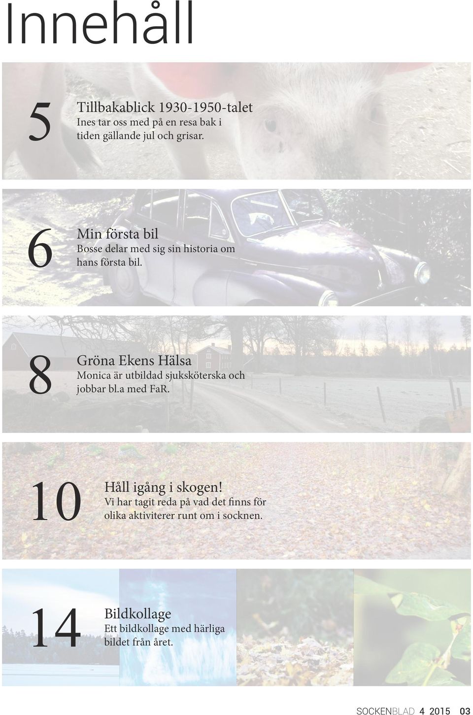 8 Gröna Ekens Hälsa Monica är utbildad sjuksköterska och jobbar bl.a med FaR. 10 Håll igång i skogen!