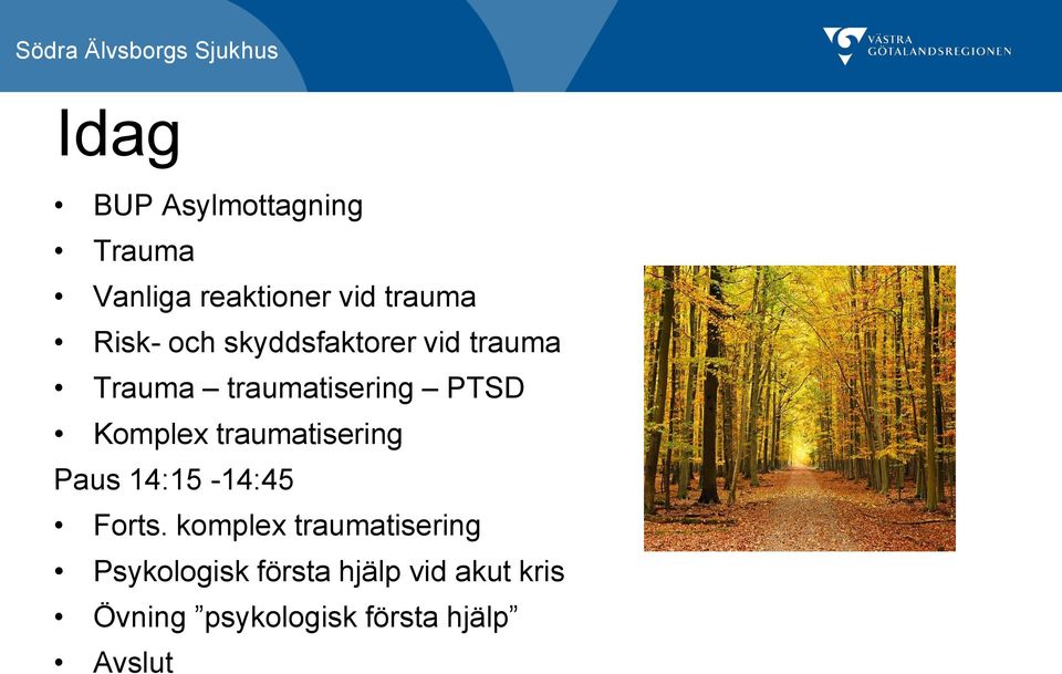 traumatisering Paus 14:15-14:45 Forts.