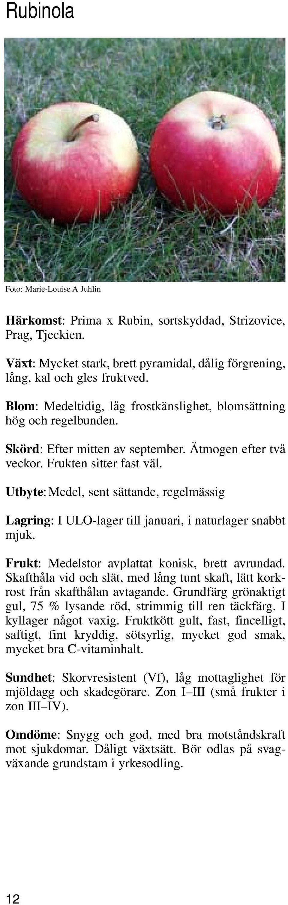 Utbyte: Medel, sent sättande, regelmässig Lagring: I ULO-lager till januari, i naturlager snabbt mjuk. Frukt: Medelstor avplattat konisk, brett avrundad.