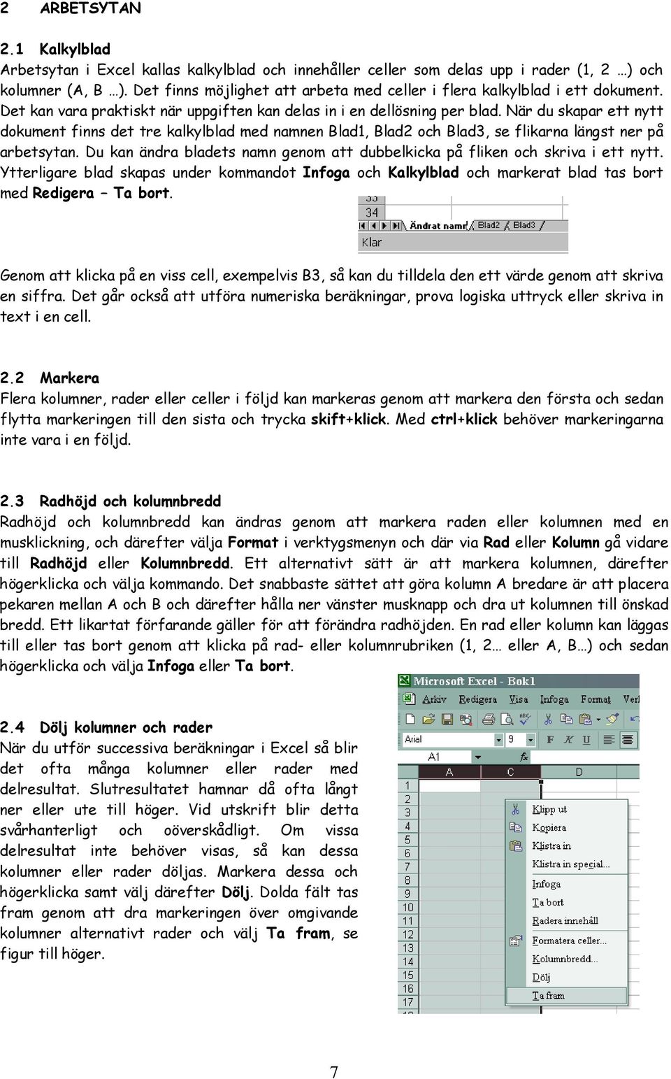 När du skapar ett nytt dokument finns det tre kalkylblad med namnen Blad1, Blad2 och Blad3, se flikarna längst ner på arbetsytan.