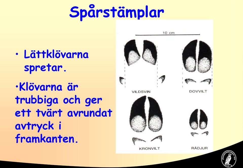 Klövarna är trubbiga och