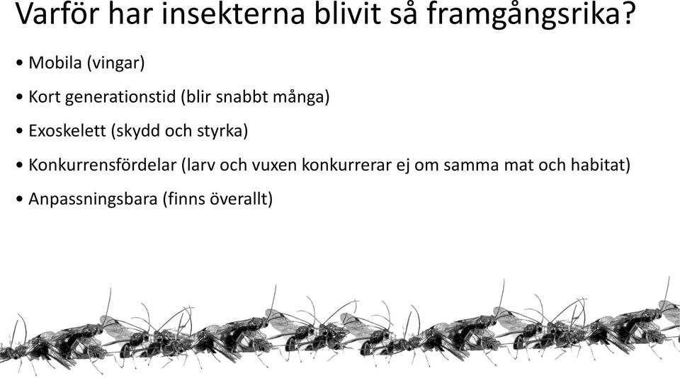 Exoskelett (skydd och styrka) Konkurrensfördelar (larv och