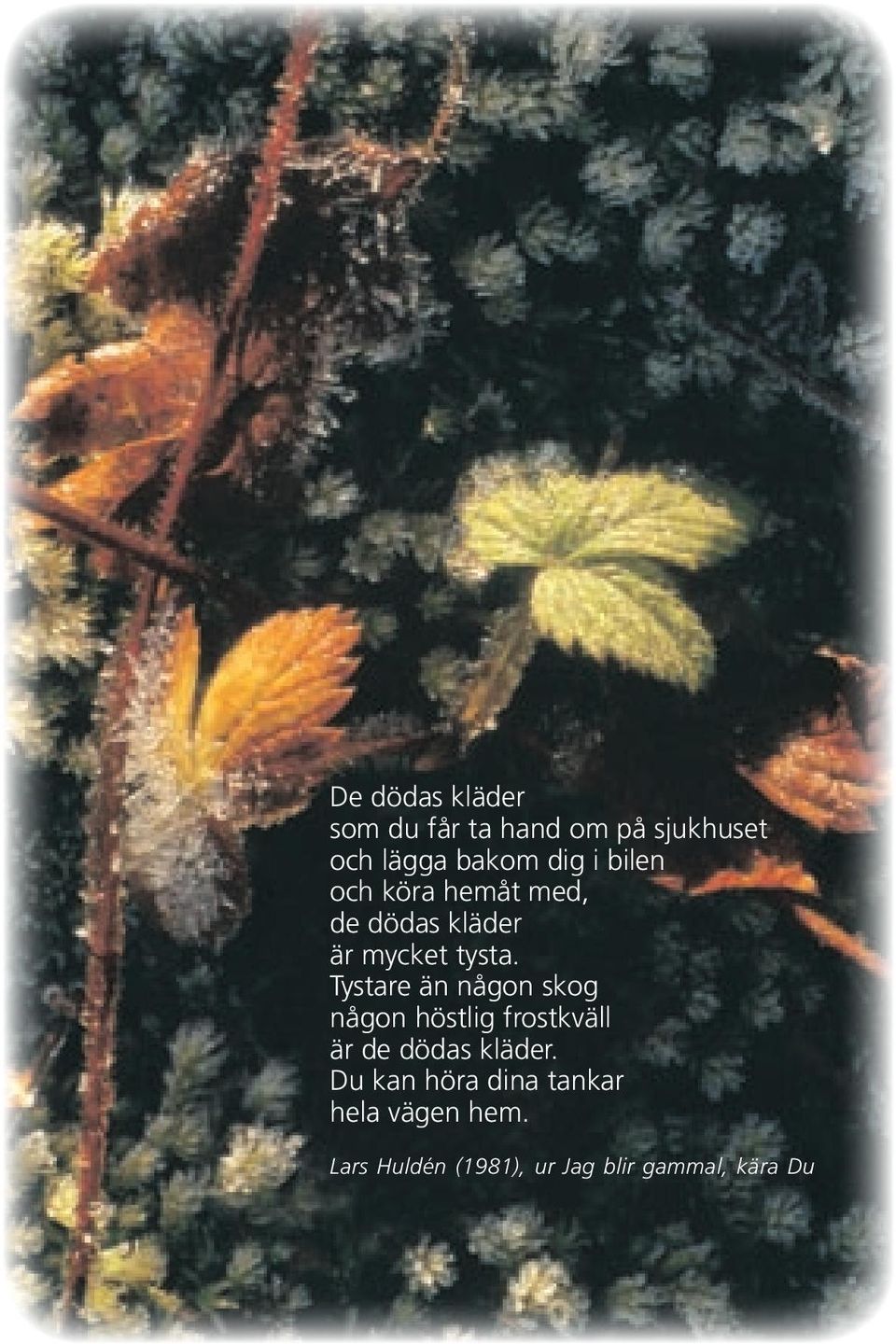 Tystare än någon skog någon höstlig frostkväll är de dödas kläder.