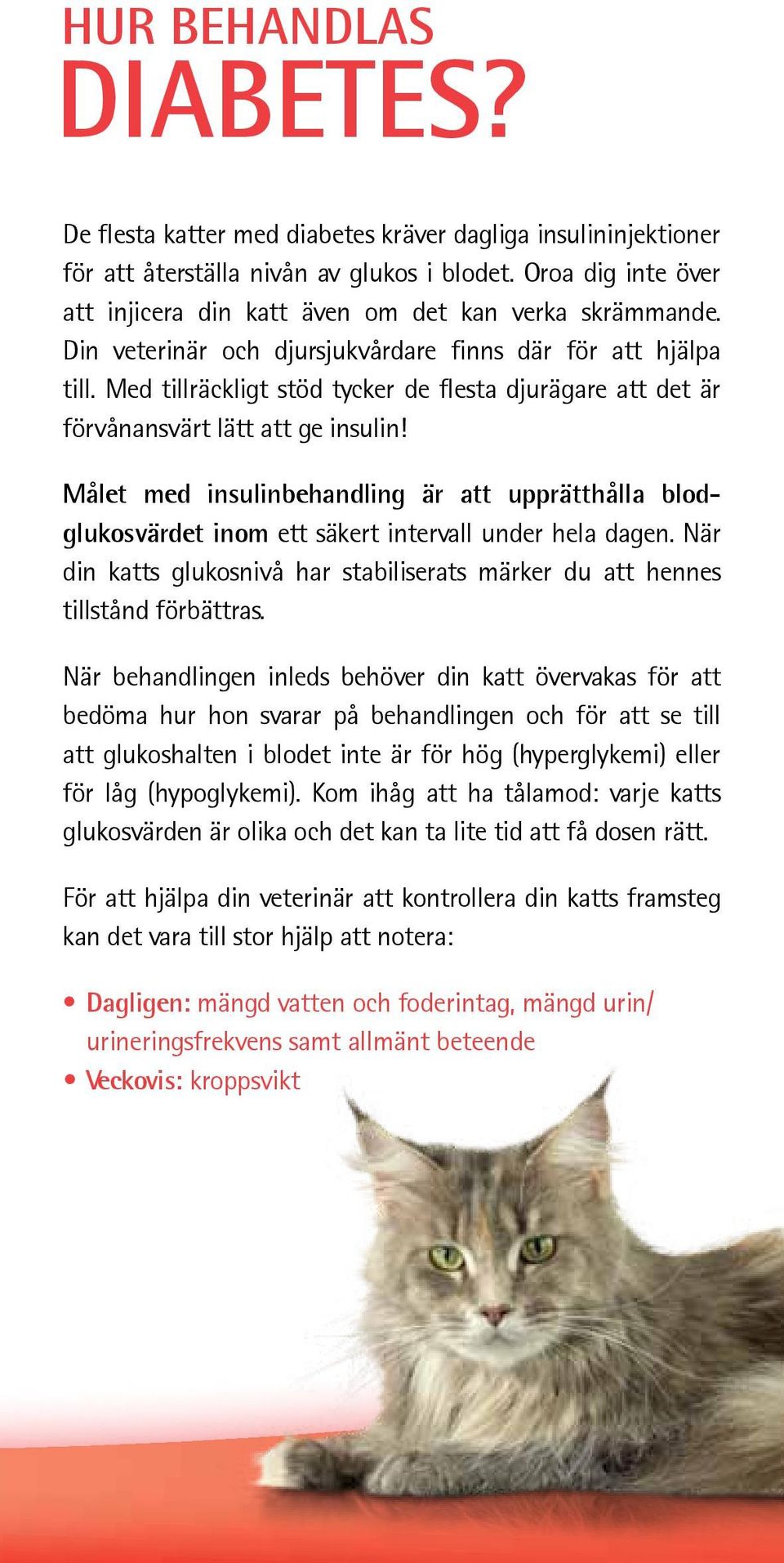 Med tillräckligt stöd tycker de flesta djurägare att det är förvånansvärt lätt att ge insulin!