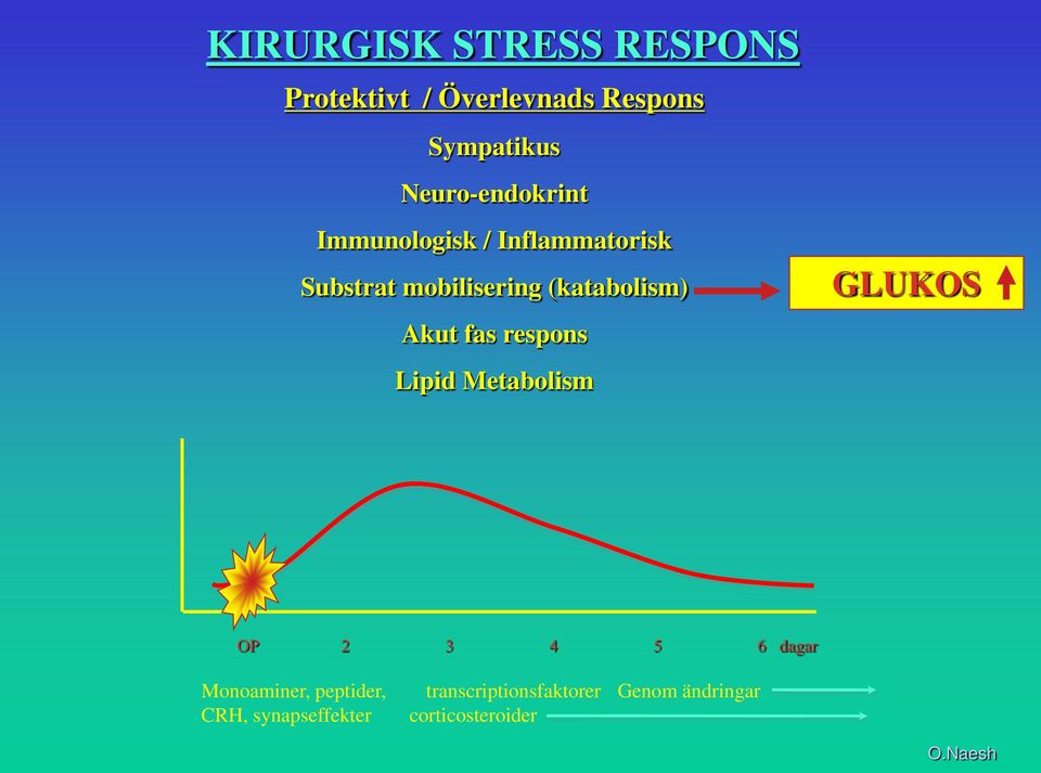 (katabolism) Akut fas respons Lipid Metabolism GLUKOS OP 2 3 4 5 6 dagar
