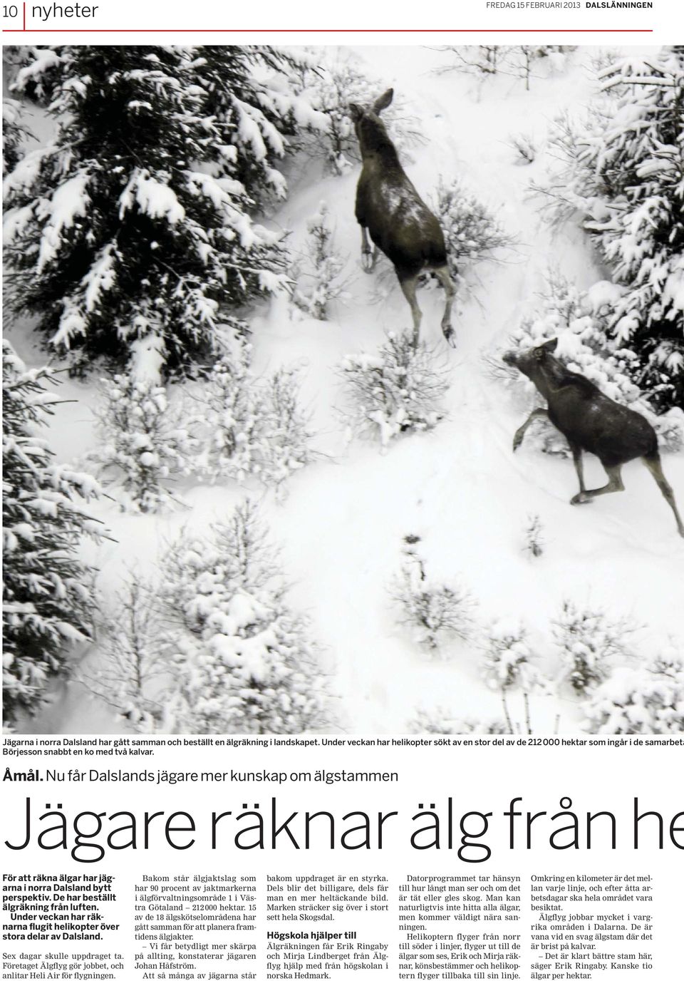 Nu får Dalslands jägare mer kunskap om älgstammen Jägare räknar älg från he För att räkna älgar har jägarna i norra Dalsland bytt perspektiv. De har beställt älgräkning från luften.