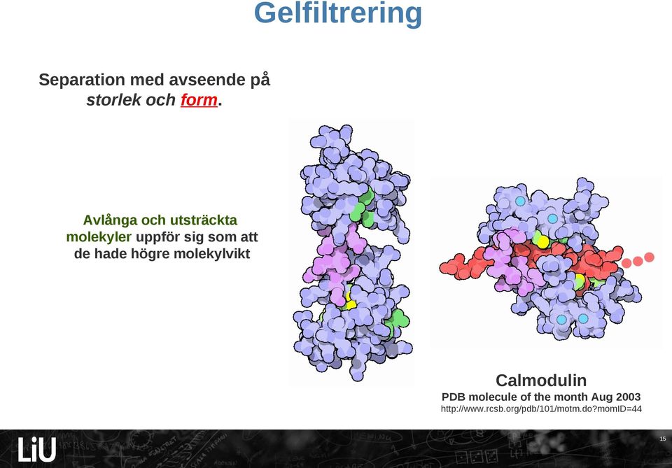 hade högre molekylvikt Calmodulin PDB molecule of the