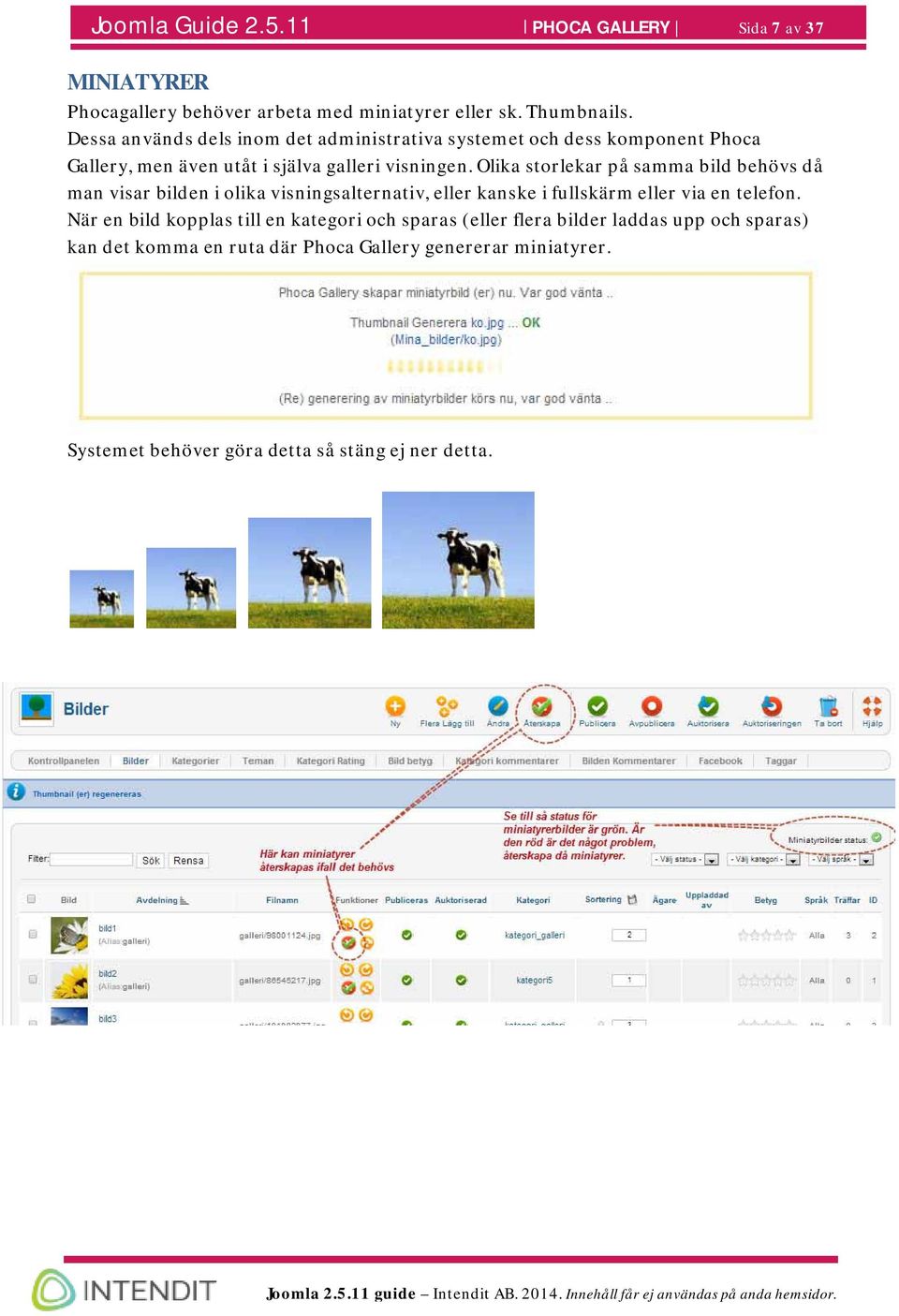 Olika storlekar på samma bild behövs då man visar bilden i olika visningsalternativ, eller kanske i fullskärm eller via en telefon.