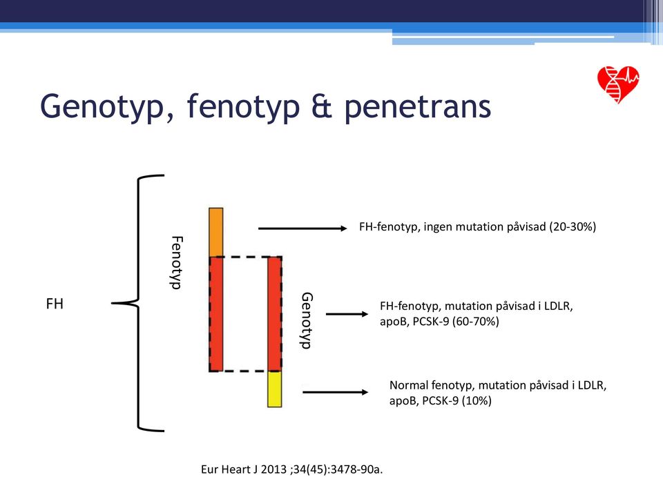 i LDLR, apob, PCSK-9 (60-70%) Normal fenotyp, mutation