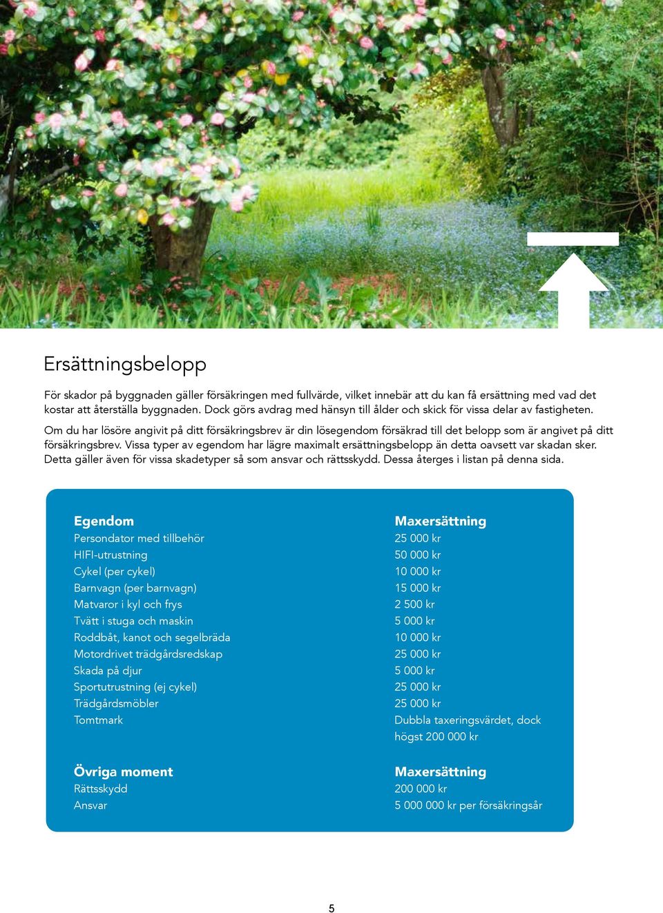 Om du har lösöre angivit på ditt försäkringsbrev är din lösegendom försäkrad till det belopp som är angivet på ditt försäkringsbrev.