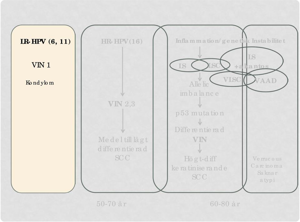 mutation VLSC LS +akantos VAAD Medel till lågt differentierad SCC