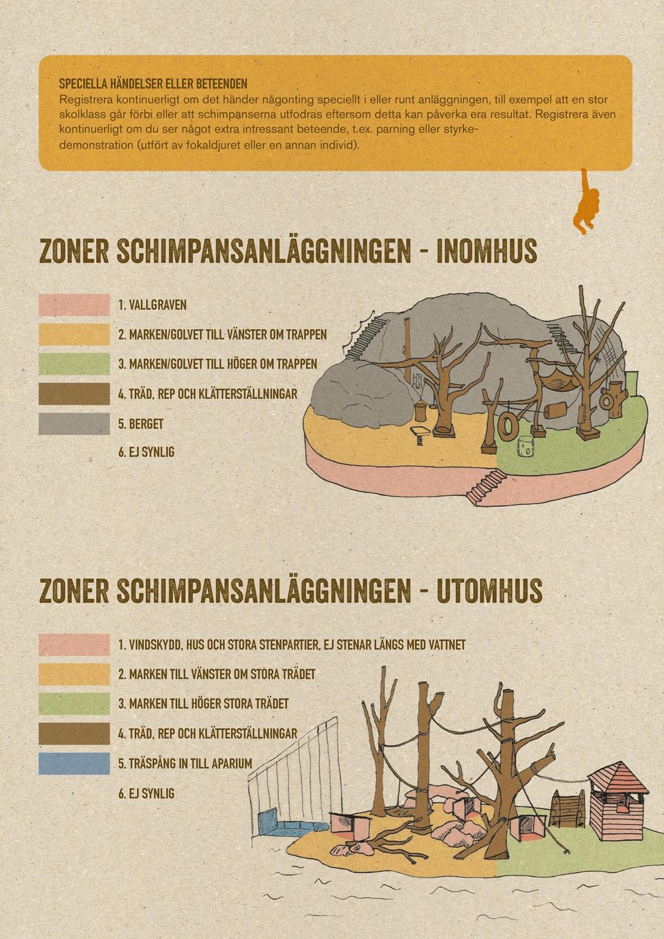 zoner schimpansanläggningen - inomhus 1. VALLGRAVEN 2. MARKEN/GOLVET TILL VÄNSTER OM TRAPPEN 3. MARKEN/GOLVET TILL HÖGER OM TRAPPEN 4. TRÄD, REP OCH KLÄTTERSTÄLLNINGAR 5. BERGET 6.