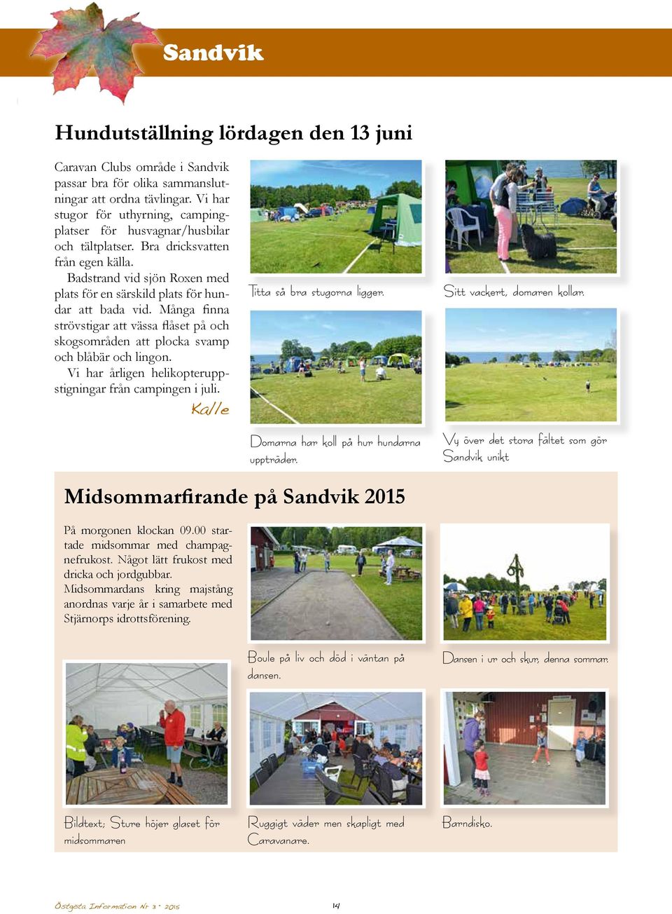 Många finna strövstigar att vässa flåset på och skogsområden att plocka svamp och blåbär och lingon. Vi har årligen helikopteruppstigningar från campingen i juli. Kalle Titta så bra stugorna ligger.