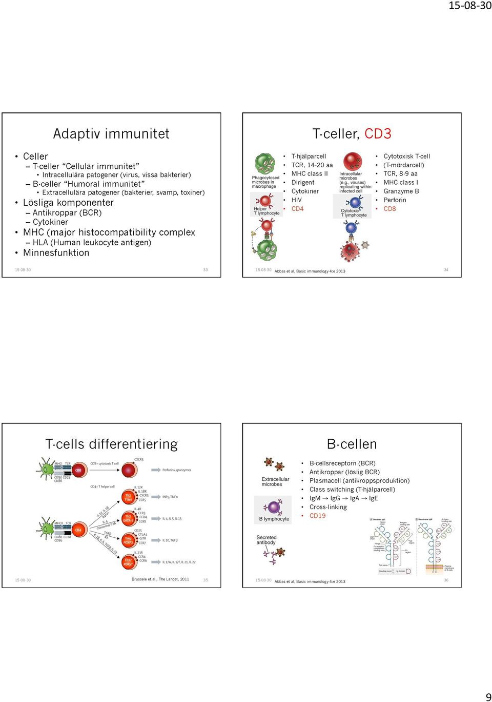 Cytokiner HIV CD4 Cytotoxisk T-cell (T-mördarcell) TCR, 8-9 aa MHC class I Granzyme B Perforin CD8 33 Abbas et al, Basic immunology 4:e 2013 34 T-cells differentiering B-cellen B-cellsreceptorn
