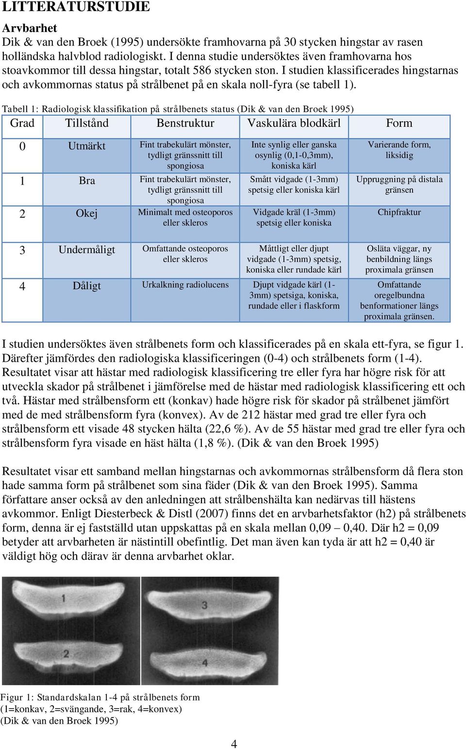 I studien klassificerades hingstarnas och avkommornas status på strålbenet på en skala noll-fyra (se tabell 1).