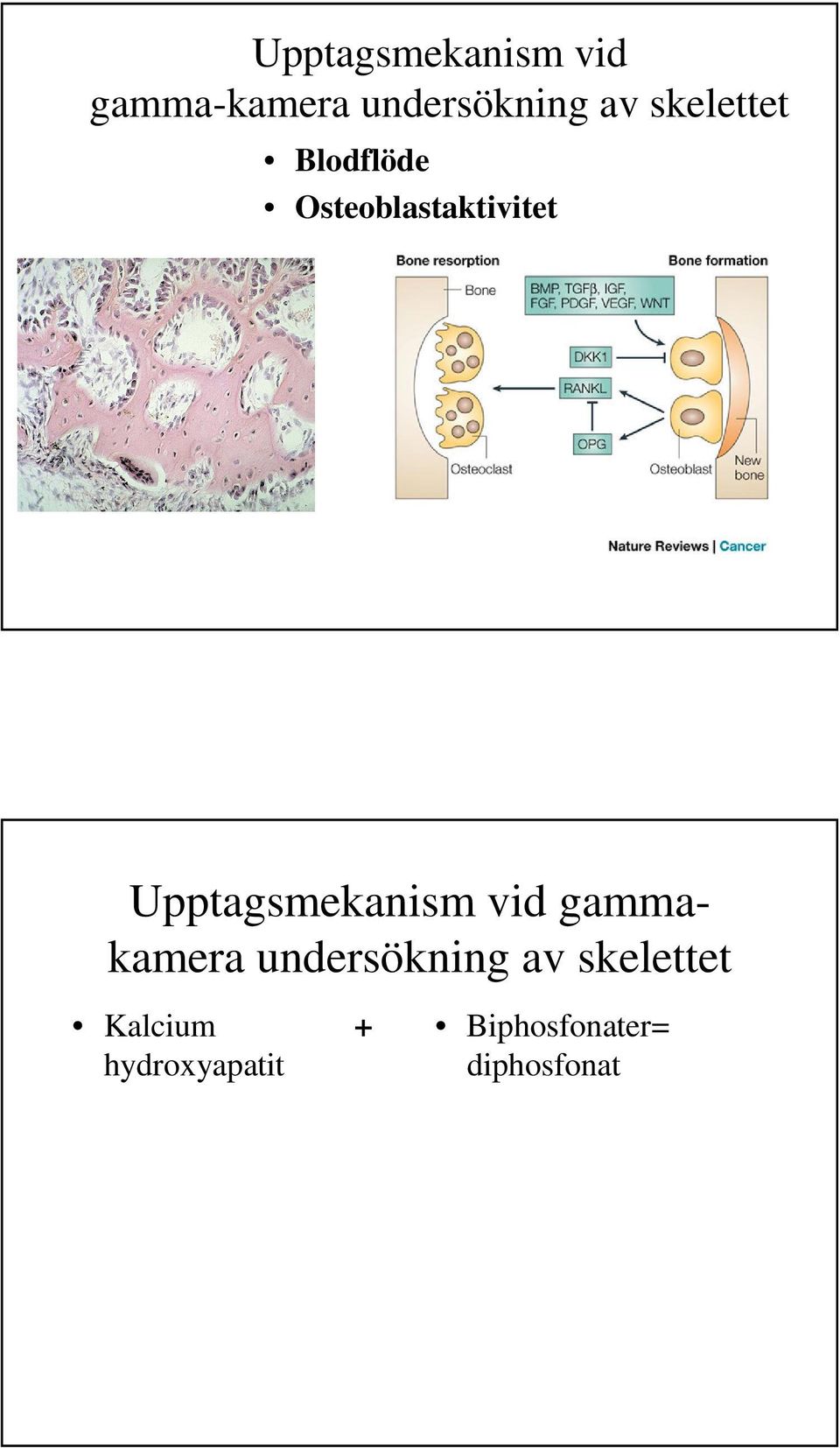 Upptagsmekanism vid gammakamera undersökning av