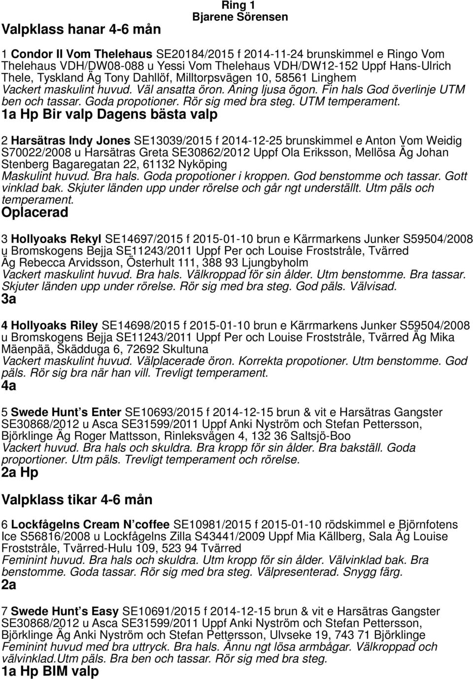 Rör sig med bra steg. UTM temperament.