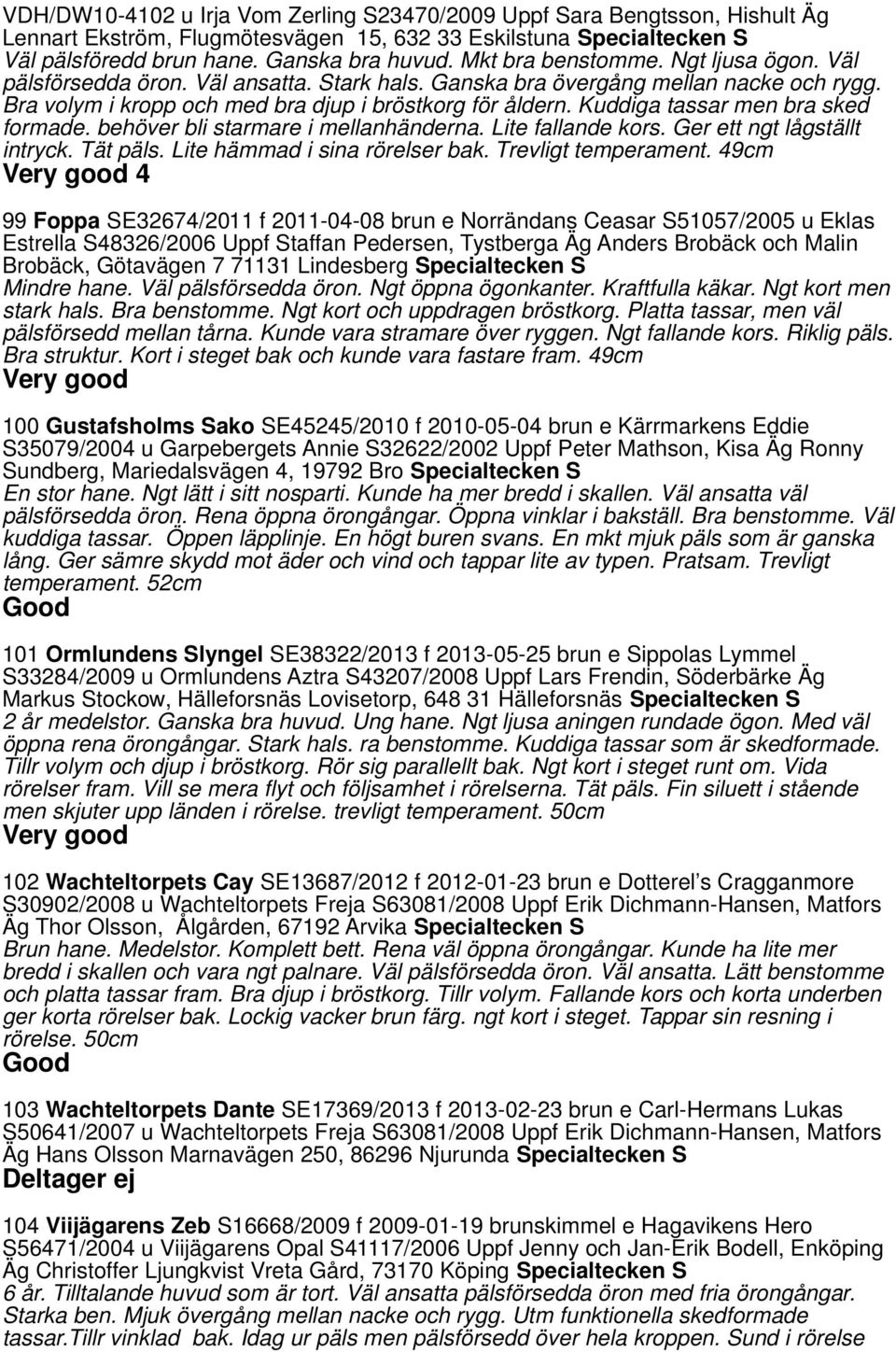 Kuddiga tassar men bra sked formade. behöver bli starmare i mellanhänderna. Lite fallande kors. Ger ett ngt lågställt intryck. Tät päls. Lite hämmad i sina rörelser bak. Trevligt temperament.