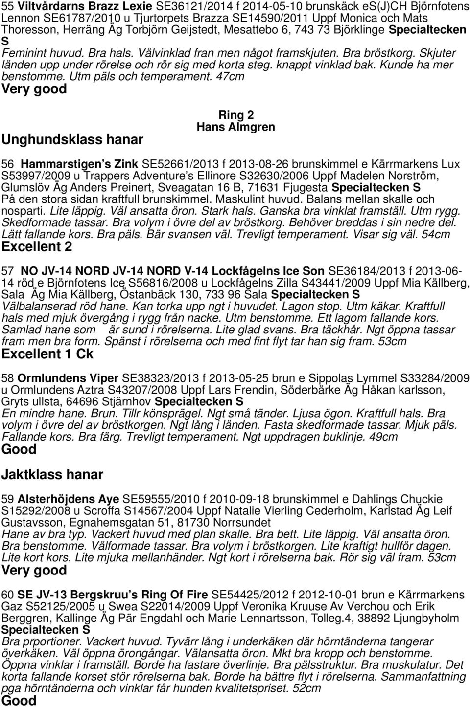 knappt vinklad bak. Kunde ha mer benstomme. Utm päls och temperament.