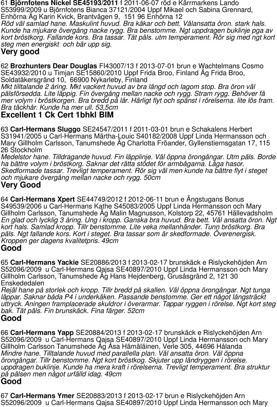 Fallande kors. Bra tassar. Tät päls. utm temperament. Rör sig med ngt kort steg men energiskt och bär upp sig.