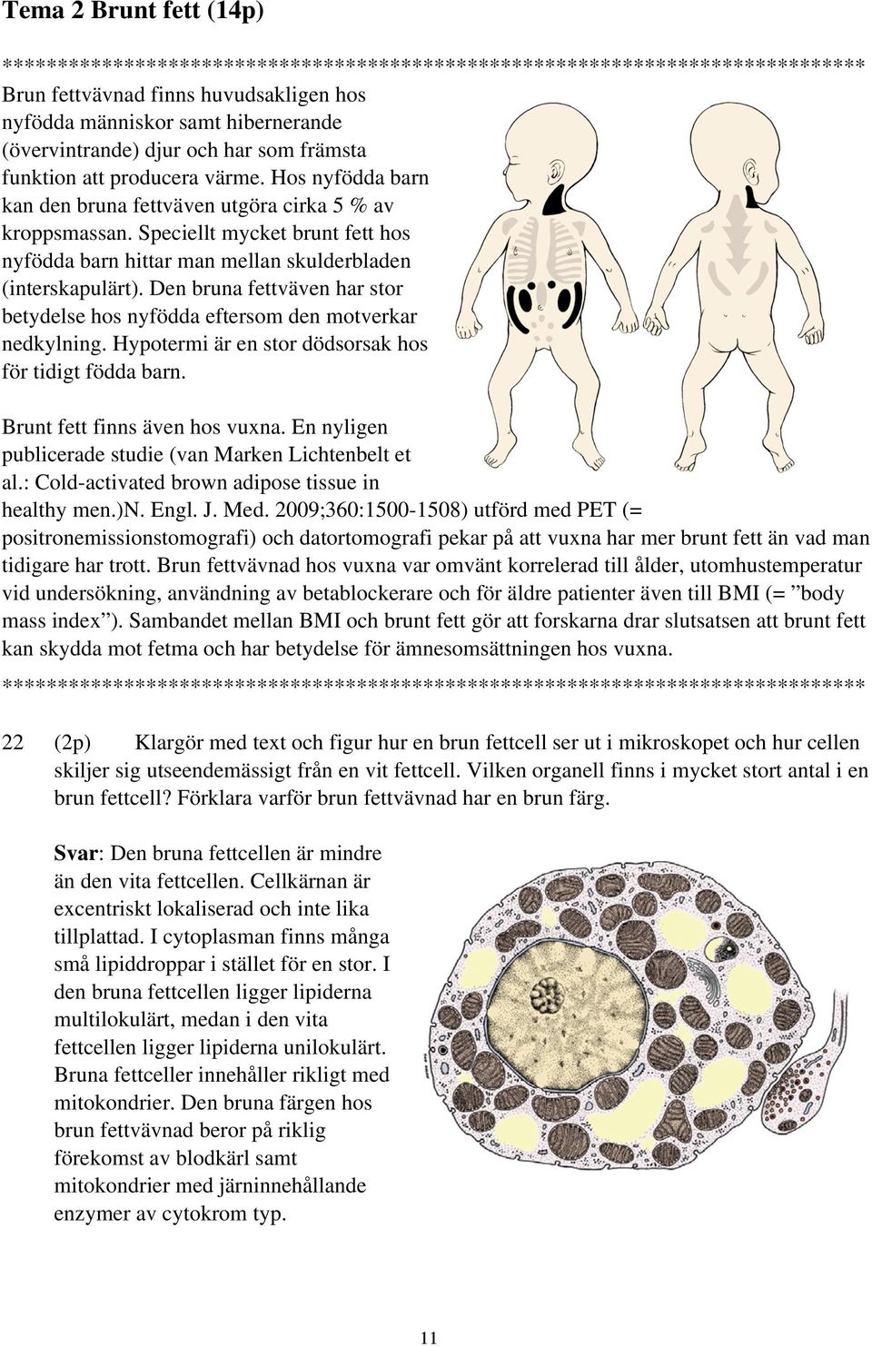 Speciellt mycket brunt fett hos nyfödda barn hittar man mellan skulderbladen (interskapulärt). Den bruna fettväven har stor betydelse hos nyfödda eftersom den motverkar nedkylning.