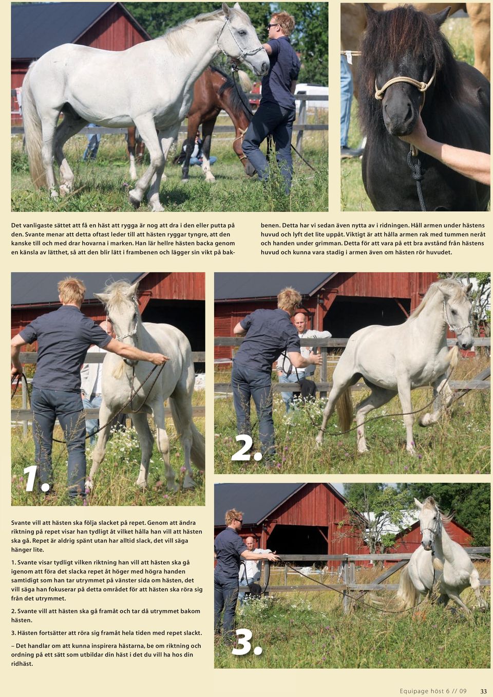 Han lär hellre hästen backa genom en känsla av lätthet, så att den blir lätt i frambenen och lägger sin vikt på bakbenen. Detta har vi sedan även nytta av i ridningen.